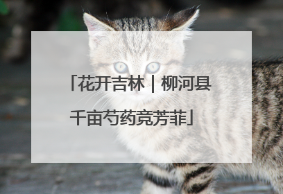 花开吉林｜柳河县千亩芍药竞芳菲